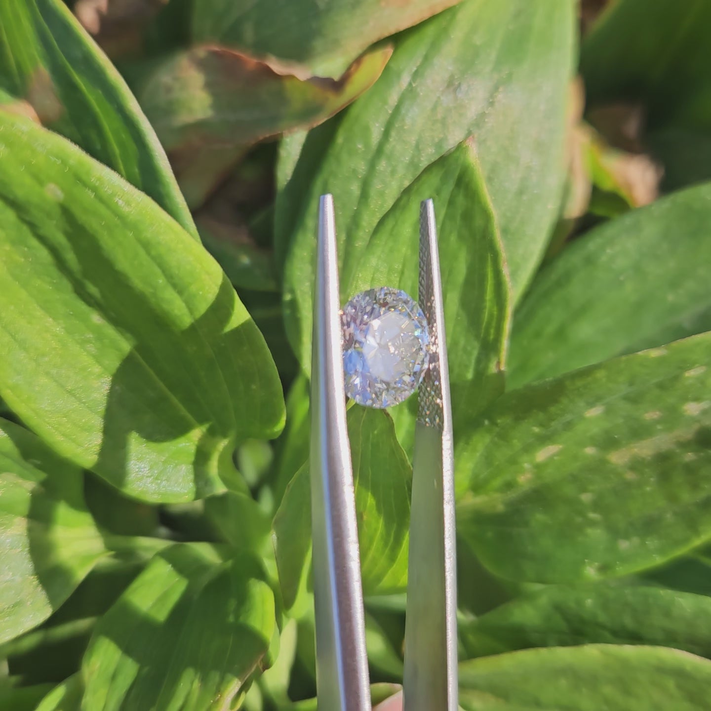 Round cut lab diamond - 2.74ct, F colour, VS2 clarity