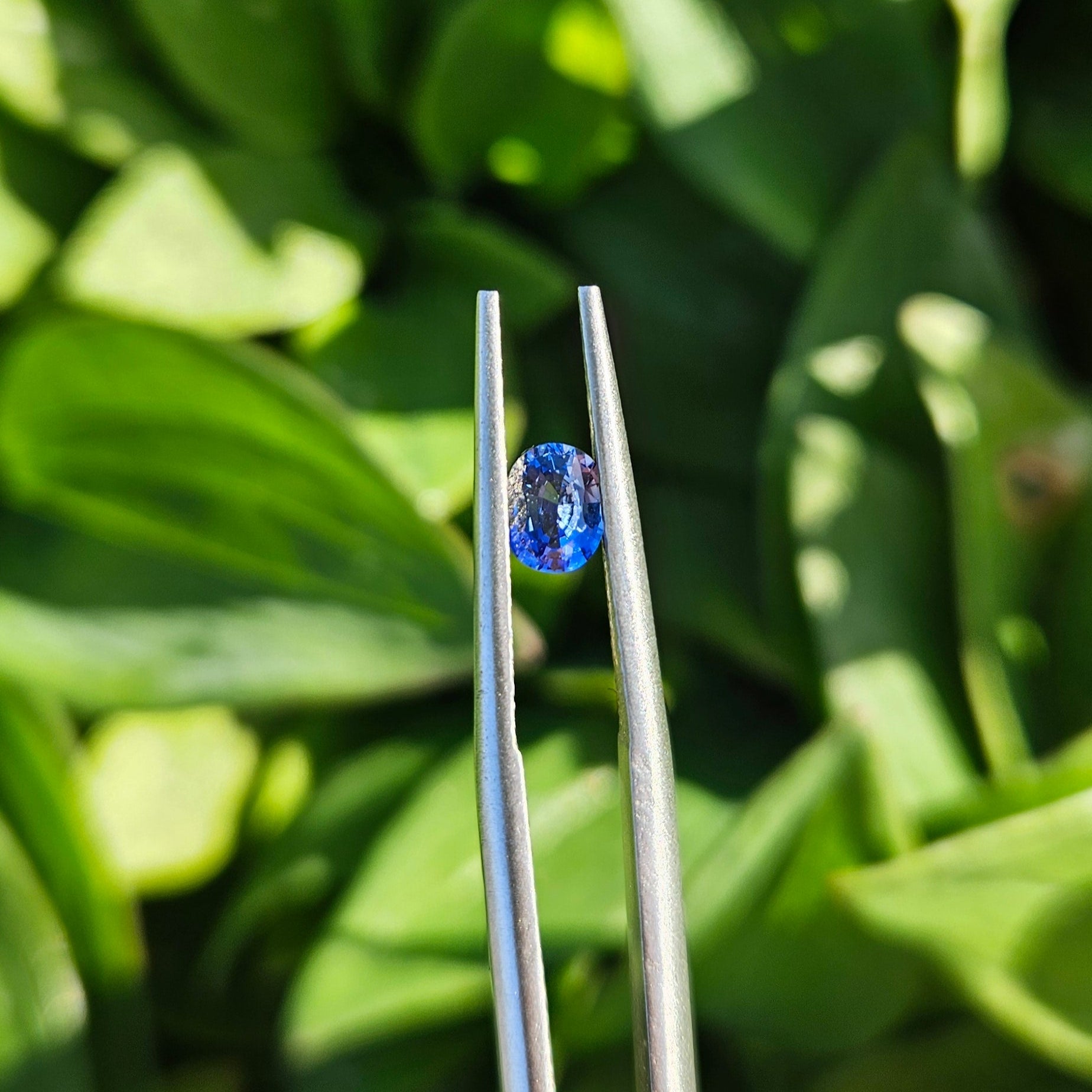 0.5ct Oval Ceylon Sapphire